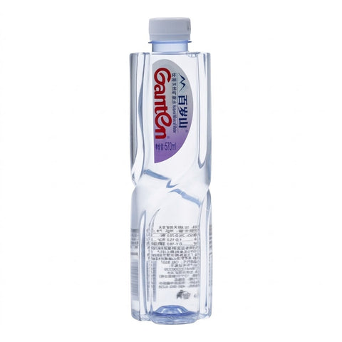 Baisuishan Purified Water 570ml