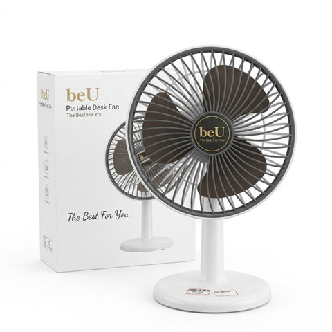 Multifunctional Fan
