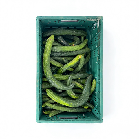 Chinese Cucumber 1kg
